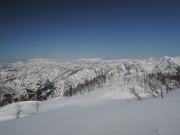 スノーシューツアー全日程が終了致しました