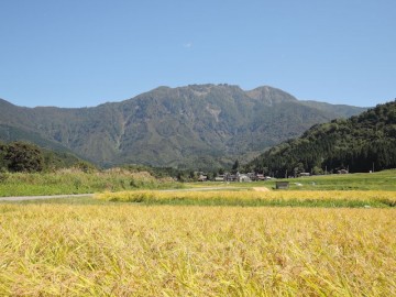 DSCN8427のコピー