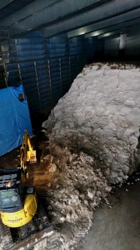 雪中貯蔵庫に新しい雪を入れています