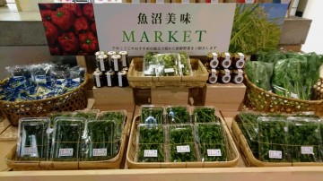 「魚沼美味MARKET」スタート！