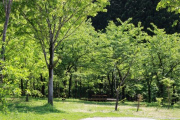 田植えの季節