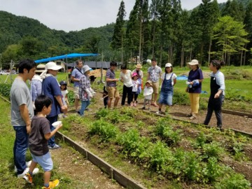 夏の収穫イベント開催レポート