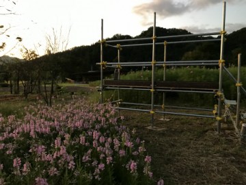 IMG_1314のコピー